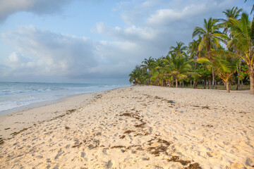 Paradise beach with white sand and palms. Diani Beach at Indian ocean surroundings of Mombasa, Kenya. Landscape photo exotic beach in Africa
