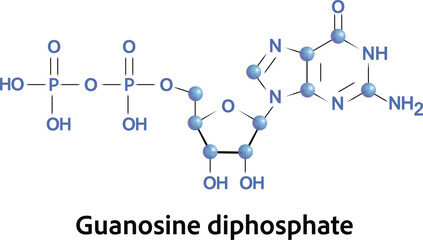 chemical structure of molecule guanosine diphosphate