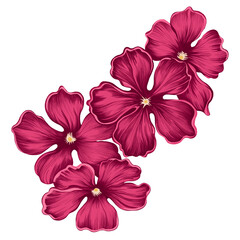 Four Violet Flowers in PNG File, draw and color in procreate.