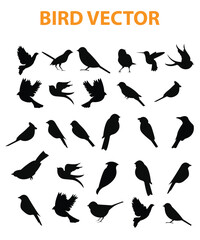 Sets of silhouette birds flying icon, in various species and action expression, create by vector