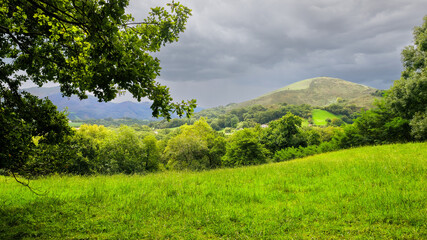 Fototapete bei efototapeten.de bestellen   