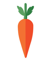 organic carrot illustration