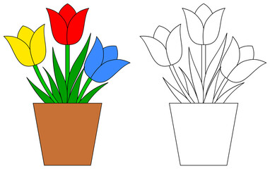 Tulip in pot. Coloring book page for children. Colorful and outline illustration. Game for kids.
