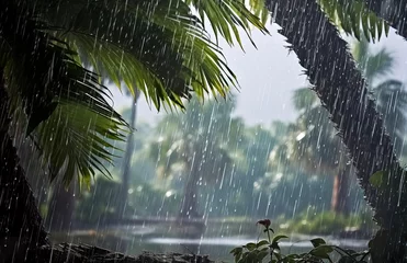 Fotobehang Rain in the tropics during the low season or monsoon season. Raindrops in a garden. © ABULKALAM