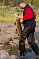 Fisherman carries a large male salmon.