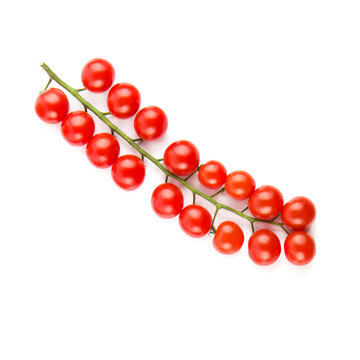 Cherry tomatoes on a green branch isolated on a white. Free space for text.