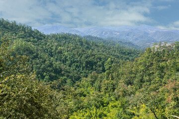 Fototapeta na wymiar View from Mountain, Pha Daeng National Park in Chiangmai Thailand