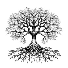 black tree silhouette vector illustration with roots isolated on white background.