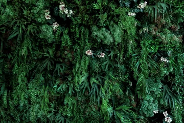 Foto op Plexiglas Gras Herb wall, plant wall, natural green wallpaper and background. nature wall. Nature background of green forest