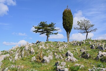 Monte Sant'Angelo, Gargano, Italy, Europe. 