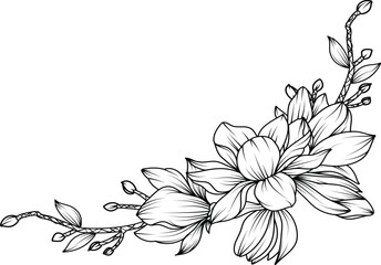 Magnolia Flower. sketch with black and white line art of magnolia flowers. © bintoro