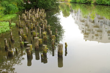 Fototapete bei efototapeten.de bestellen   