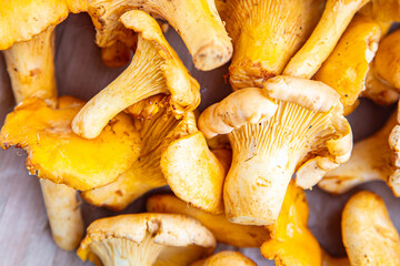 chanterelle fresh mushrooms delicious chanterelles mushroom food snack on the table copy space food background rustic top view 