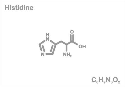 Histidine. Simplified structural formula. 