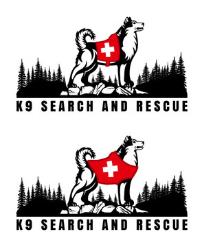 Husky rescue dog with a red harness in the forest on background. Search and rescue