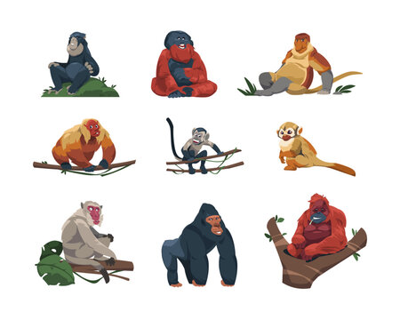 Monkey Species. Cute Tropical Apes Flat Cartoon Style, Colorful Funny Wildlife Jungle Primates, Zoo Exotic Animals In Different Poses. Vector Isolated Set