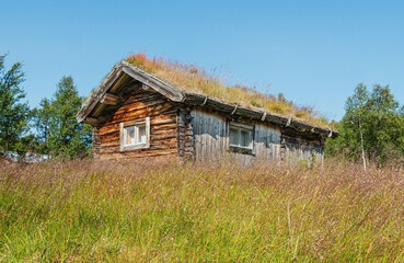 Fototapeta na wymiar Old wooden house with traditional grass roof in the wilderness of central Sweden