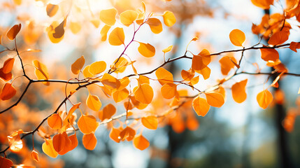 Fluttering Aspen Leaves in Autumn, Trees Sharing Golden Whispers