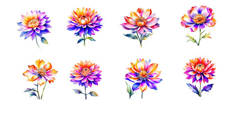 Set of flower isolated on transparent background.