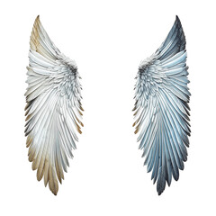 Bird or Angel Feather Wings Isolated
