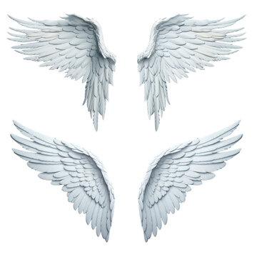 isolated angel wings with white feathers graceful and ethereal, transparent background