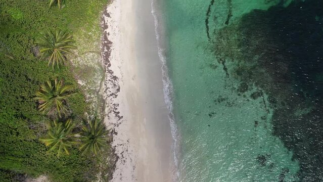 Plage d&eacute;serte en Martinique