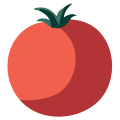 Fresh tomato illustration
