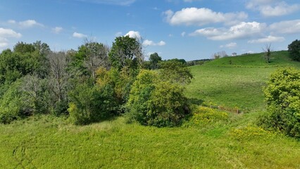 Green hillside on countryside farm in New York State