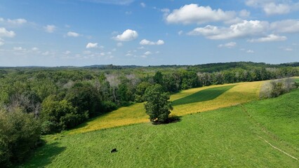 Green hillside on countryside farm in New York State
