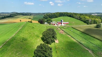 Landscape in New York State countryside with green rolling hills, pastures and farm house under blue sky and white clouds © Steve
