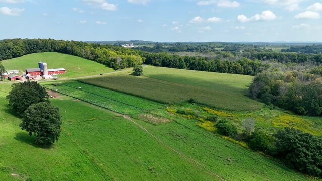 Landscape in New York State countryside with green rolling hills, pastures and farm house under blue sky and white clouds