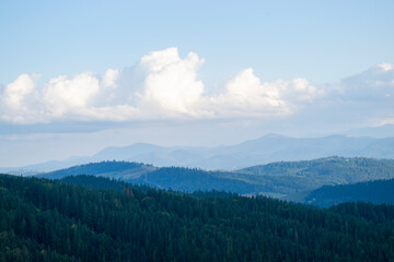 Obraz premium Mountain landscape with forest in the Carpathian mountains of Ukraine.