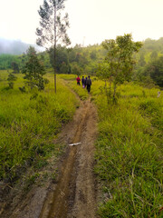 Hiking in grassland which is foggy