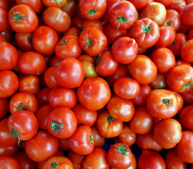 Lots of organically grown tomatoes in the city market.