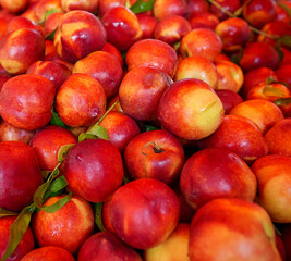 Lots of eco friendly nectarines in the city market.