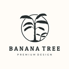 banana tree cavendish vintage logo vector minimalist illustration design, banana tree harvest symbol design