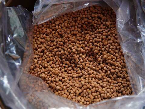 the texture of many fish food granules in a plastic container. fish pellets