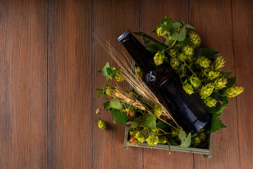 Beer bottle and glass with hop cones, Fresh craft beer and ingredients, copy space on wooden background