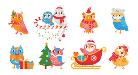 Naklejka premium Winter owl. Cute christmas birds of set celebrating