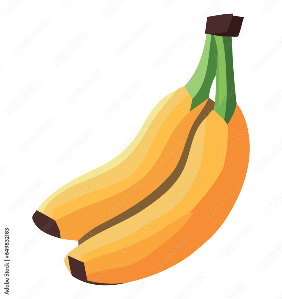 Poster fresh organic bananas vector