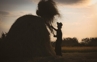 A man collects hay © giorgi