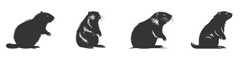 Beaver silhouette set. Vector illustration. - obrazy, fototapety, plakaty