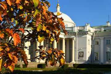 Golden autumn in park of Sklifosovsky Clinical and Research Institute for Emergency Medicine. Moscow