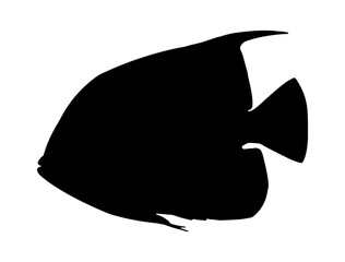 Fish silhouette vector art white background
