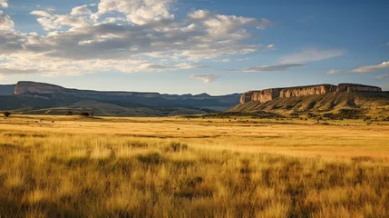 Foto op Canvas canyon colorado mesa grasslands illustration scenic grass, county meadow, pasture ranch canyon colorado mesa grasslands © sevector