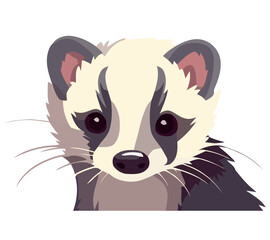 Cute baby otter illustration