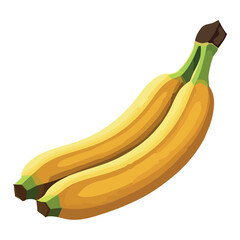Fresh organic bananas vector design