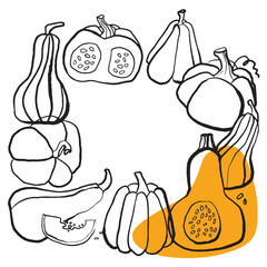 Hand drawn pumpkin silhouette on white  background. Vector EPS 10 vector 