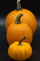 pumpkins in a line on black background