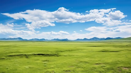 landscape siberian steppe vast illustration background sky, grass sun, blue sunsunrise landscape siberian steppe vast - obrazy, fototapety, plakaty